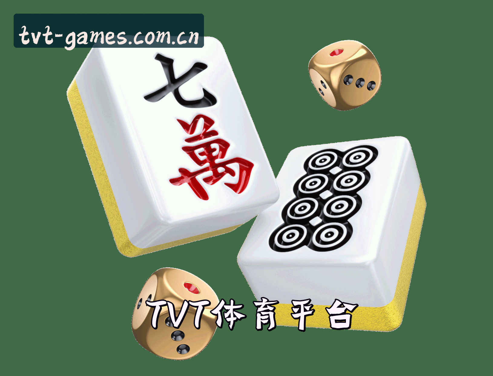 关于我们 - TVT体育(TVT)官方网站 - 值得信赖的体育品牌入口